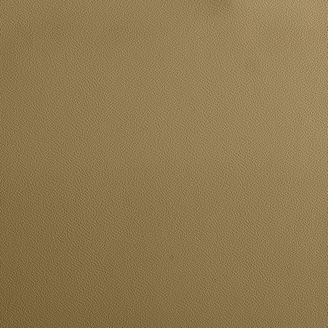 3110-03 Tortora